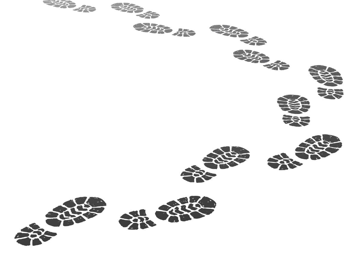 The Best Walking Shoes by Activity and Foot Type