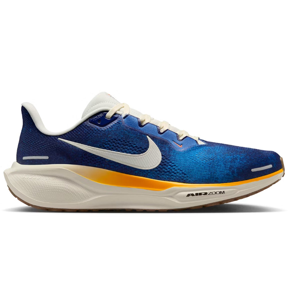 Men's Nike Pegasus 41